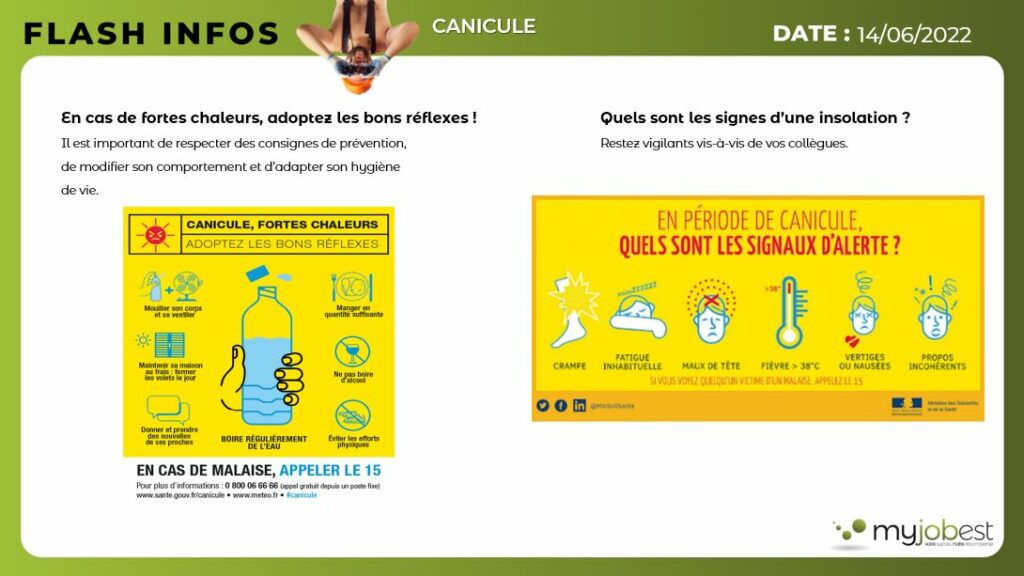 Vacances, canicule : les bons gestes pour sauver vos plantes en été